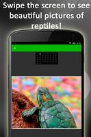 Reptilien Puzzle Plakat