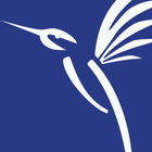 Colibri icon