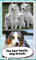 Poster Family Dog Breeds