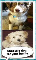 Family Dog Breeds screenshot 1