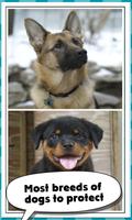 Protective Dog Breeds capture d'écran 1