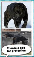 2 Schermata Protective Dog Breeds