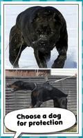 Protective Dog Breeds syot layar 2