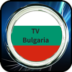 BTV Online TV icône