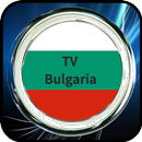 BTV Online TV APK