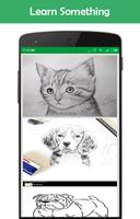 Lets Draw Cats and Dogs poster