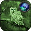 night vision phone app night vision phone app