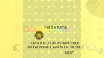 7 Turtles Affiche