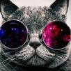 Nyan cat APK