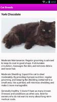 3 Schermata Cat Breeds