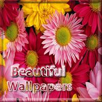 Beautiful Wallpapers Cartaz