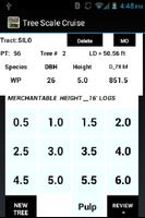 Tree Scale Cruise syot layar 1