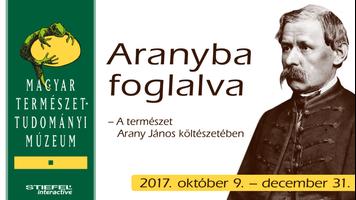 MTM Aranyba foglalva-poster