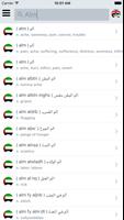 Offline Arabic English Dict capture d'écran 1