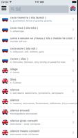 Offline Russian English Dict Affiche