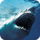 Blue Whale Simulator : Blue Whale VR أيقونة