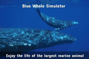 Blue Whale Simulator : Blue Whale VR स्क्रीनशॉट 3