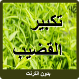 تكبير القضيب الطب البديل