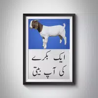 ایک  بکرے  کی  آپ بیتی   - A Goats Auto Biography 포스터