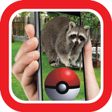 Pocket Cute Animals GO! أيقونة