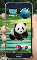 Poster Pocket Cute Animals GO!