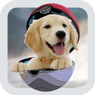 Puppy Pocket Dogs GO! icône