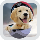 Pocket Puppy Dogs GO ไอคอน
