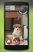 Pocket Puppy Dogs GO โปสเตอร์