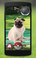 Pocket Puppy Dogs GO ภาพหน้าจอ 1