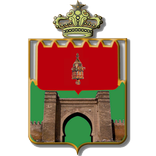 عيني على مدينتي