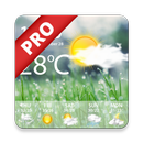 Weather Real-time Forecast Pro APK