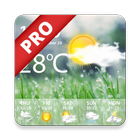 Weather Real-time Forecast Pro icône