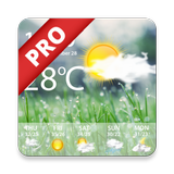 Weather Real-time Forecast Pro