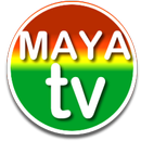 APK Maya TV