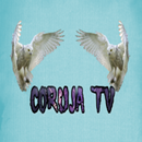 Coruja TV APK