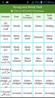 Irregular & Regular Verbs Urdu Screenshot 1