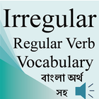 Irregular Regular Verbs Bangla icône