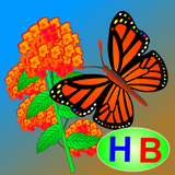 Chuyện của bướm và hoa आइकन