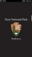 Zion Park Wildflowers Plakat