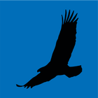 West River Eagle icône