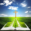 The Holy Bible in Italian APK