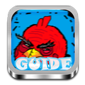 Strategy Guide for Angry birds