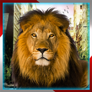 Angry Lion Simulator:City Dash APK