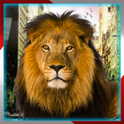 Angry Lion Simulator:City Dash icon