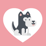 ”대전 유기견 입양