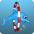Dolphin Dive