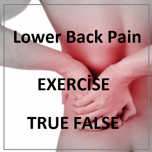 Schmerzen Im Unteren Rücken Übungen