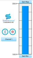 Silicone Evaluation syot layar 1