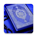 AlQuran 30 Juz Murottal APK