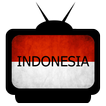 TV Indonesia Online